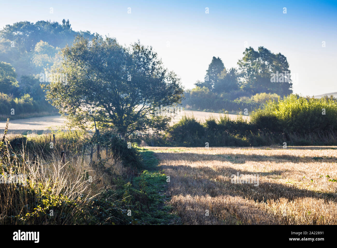 The view towards Liddington Hill near Swindon, Wiltshire on an early autumn morning. Stock Photo