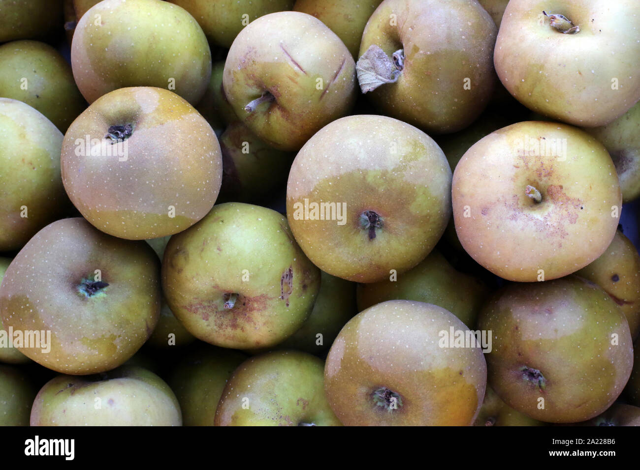 Pommes Canada. / Apples Canada. Marché paysan. France. Stock Photo