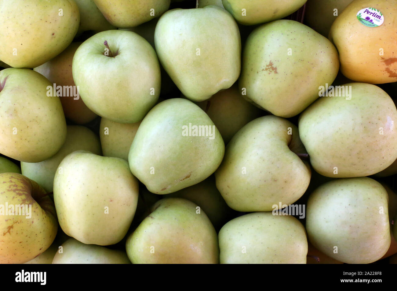 Pommes Golden. / Apples Golden. Marché paysan. France. Stock Photo
