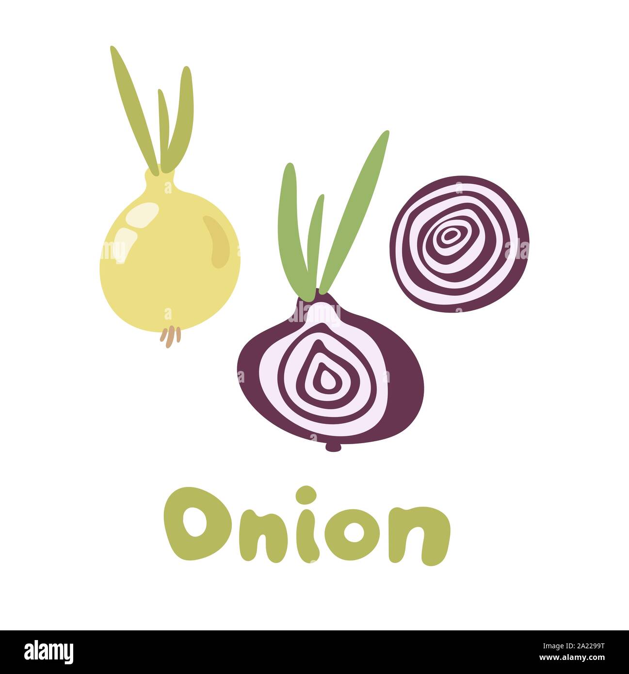 Fresh Vegetable Onion isolated icon. Onion for farm market, vegetarian salad recipe design. Vector illustration in flat style Stock Vector