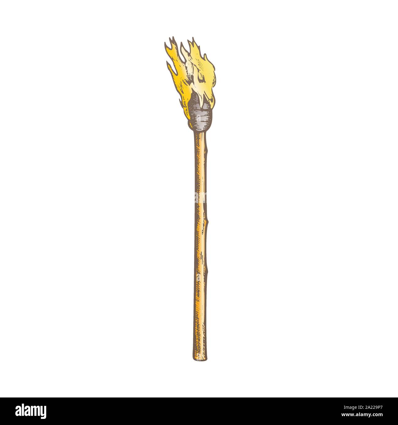 Torch Tall Handmade Wood Burning Stick Color Vector Stock Vector Image