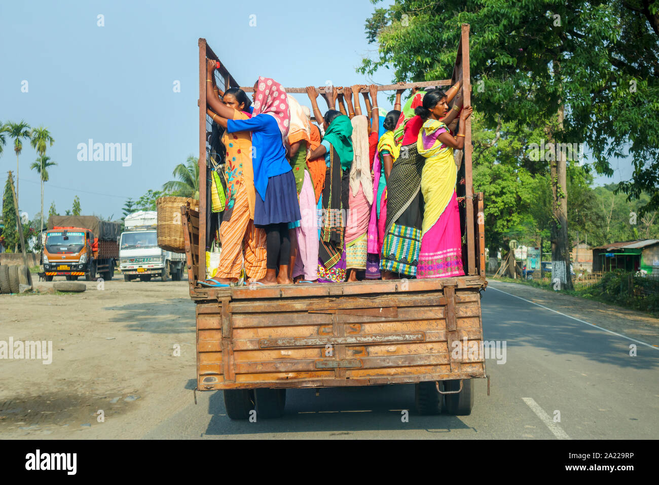 Women in colourful local dress and saris stand in the back of a truck on a road near Kaziranga, Golaghat District, Bochagaon, Assam, India Stock Photo