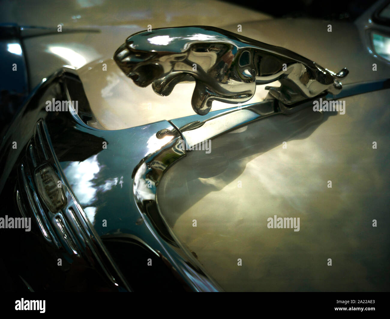 Jaguar car logo hi-res stock photography and images - Alamy
