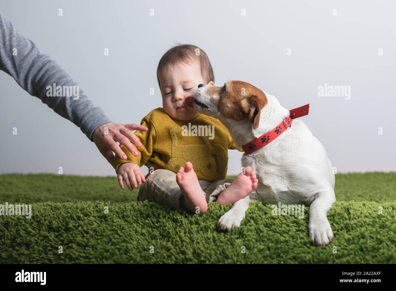 Dog lick baby hires stock photography and images Alamy