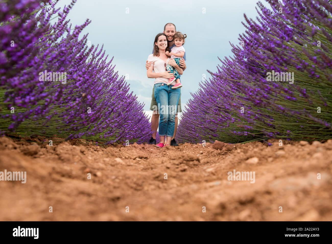 Happy family walking among lavender fields in the summer Stock Photo
