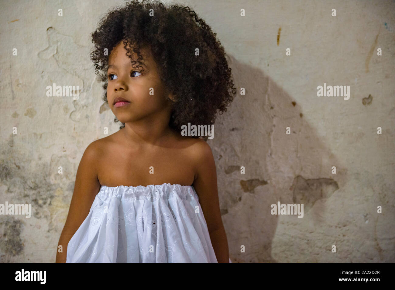 Afro Hairstyle Old Stock Photos Afro Hairstyle Old Stock Images