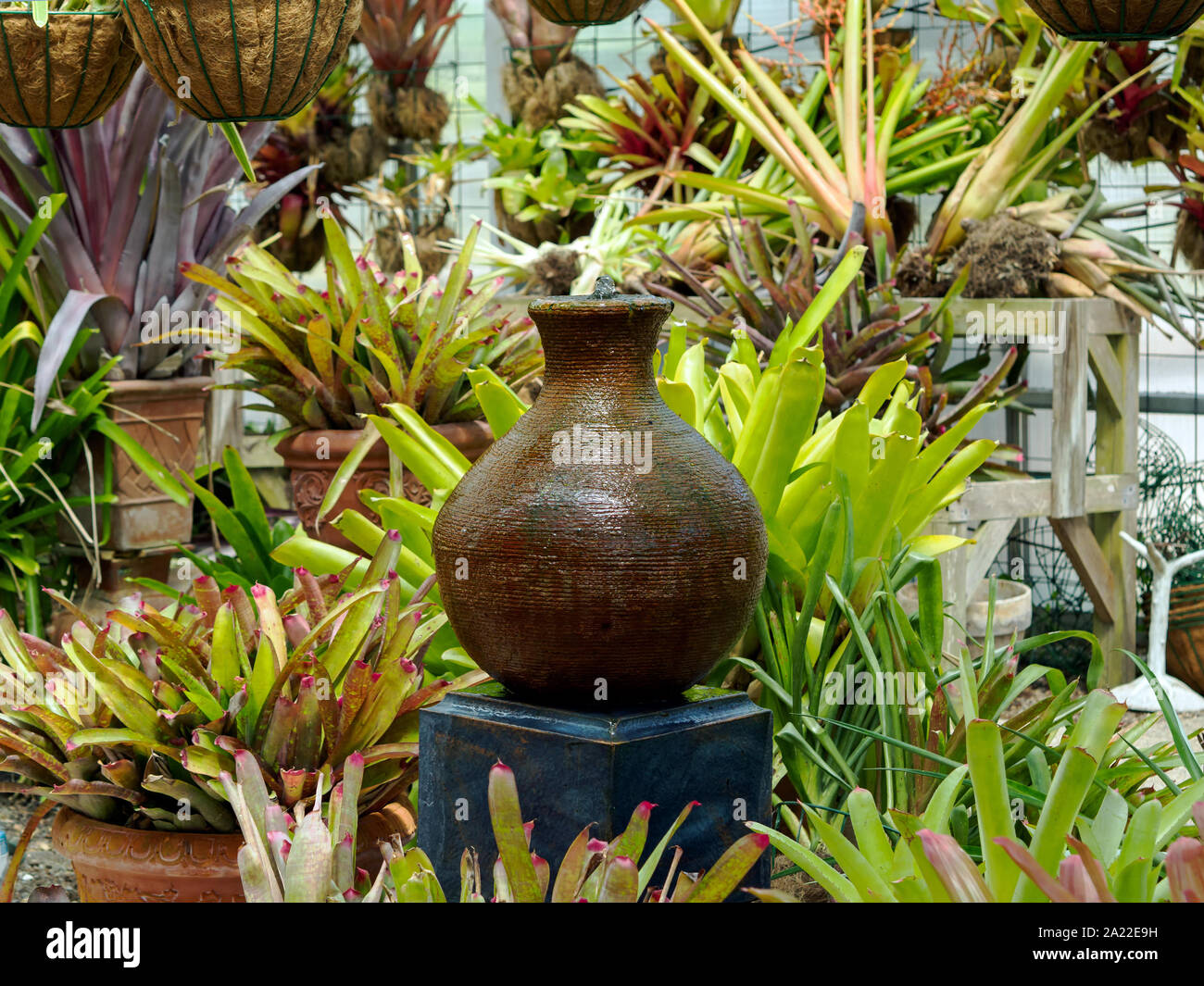 Small, ribbed earthen jar fountain. Anderson Bromeliad Conservatory at the South Texas Botanical Gardens & Nature Center. Corpus Christi, Texas USA. Stock Photo