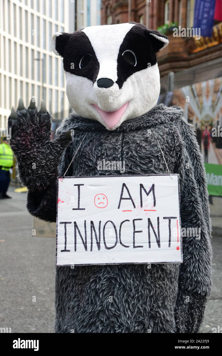 Campaign against the Badger Cull Stock Photo