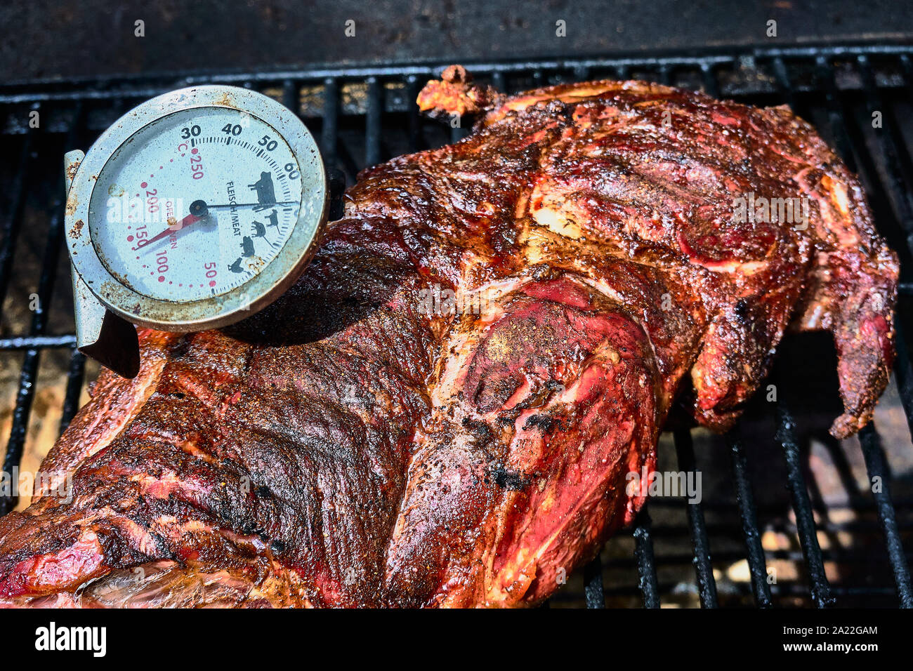 https://c8.alamy.com/comp/2A22GAM/roast-lamb-with-inserted-meat-thermometer-on-the-grill-rack-2A22GAM.jpg