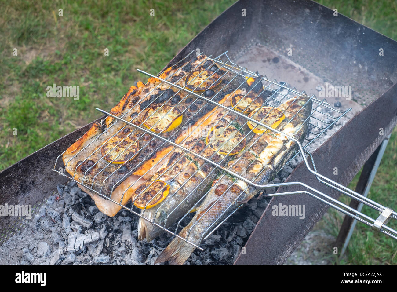 Barbecue outdoors with grilled salmon and gilt-head bream Stock Photo