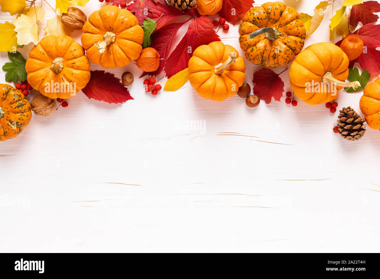 Festive autumn pumpkins decor with fall leaves, berries, nuts on white ...