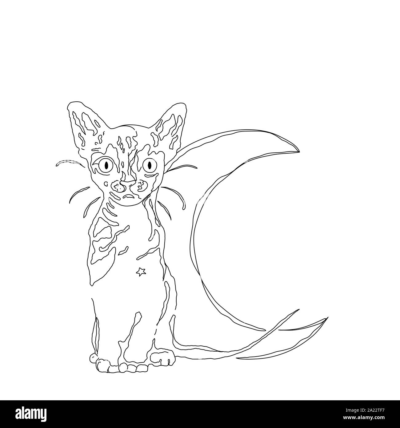 Hand drawn illustration. Cat and the moon/ night Stock Photo