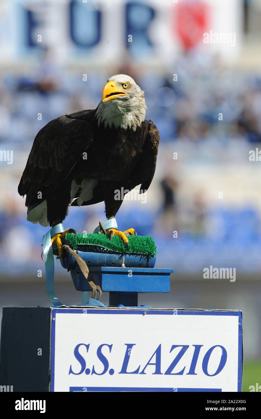 OLIMPIA   during Lazio Vs Genoa , Roma, Italy, 29 Sep 2019, Soccer Italian Soccer Serie A Men Championship Stock Photo