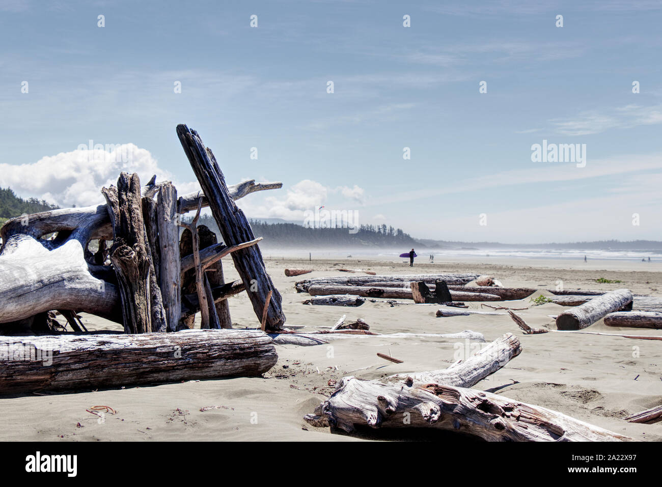 A shelter made from driftwood found on Long Beach near Tofino, Vancouver Island, Canada Stock Photo