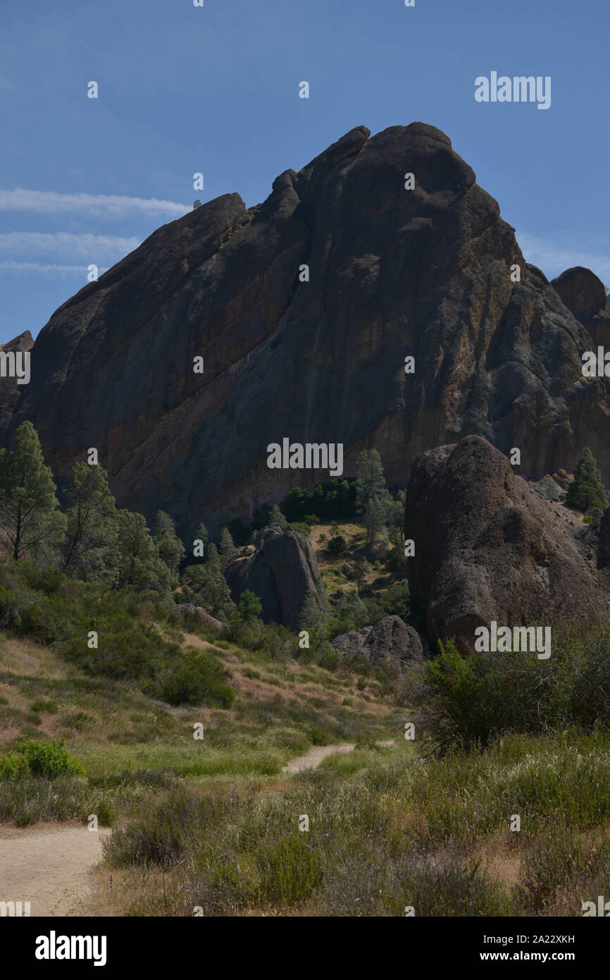 Pinnicale Rocks Pinnacles national park trees hi-res stock photography and images - Alamy