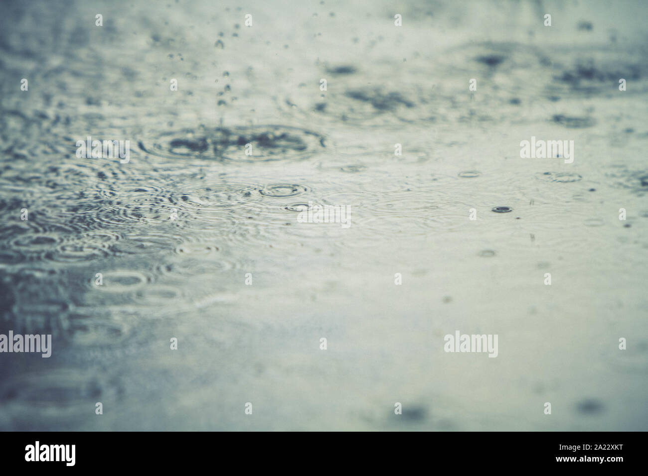 rain drops falling on a street Stock Photo