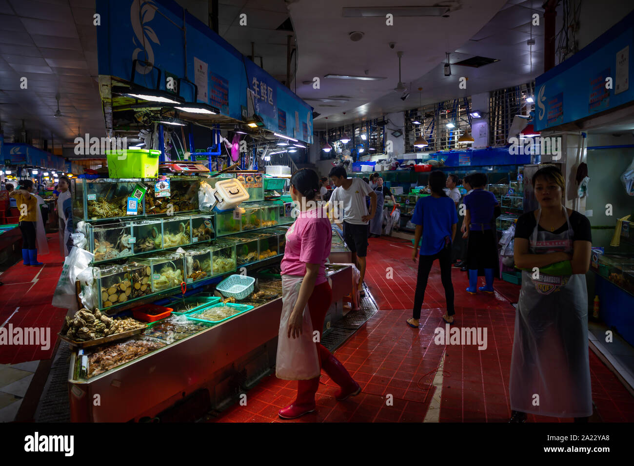 Sanya, Hainan, China - 09.07.2019: Different kinds of raw fresh seafood in water tanks at an asian seafood market in Sanya, Hainan, China Stock Photo