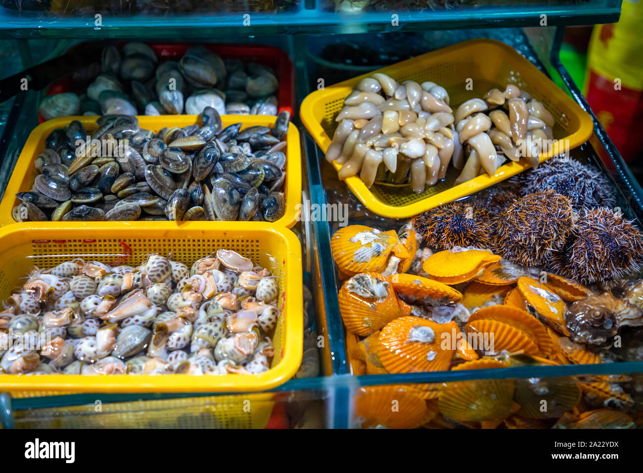 Different kinds of raw fresh seafood in water tanks at an asian seafood market in Sanya, Hainan, China Stock Photo