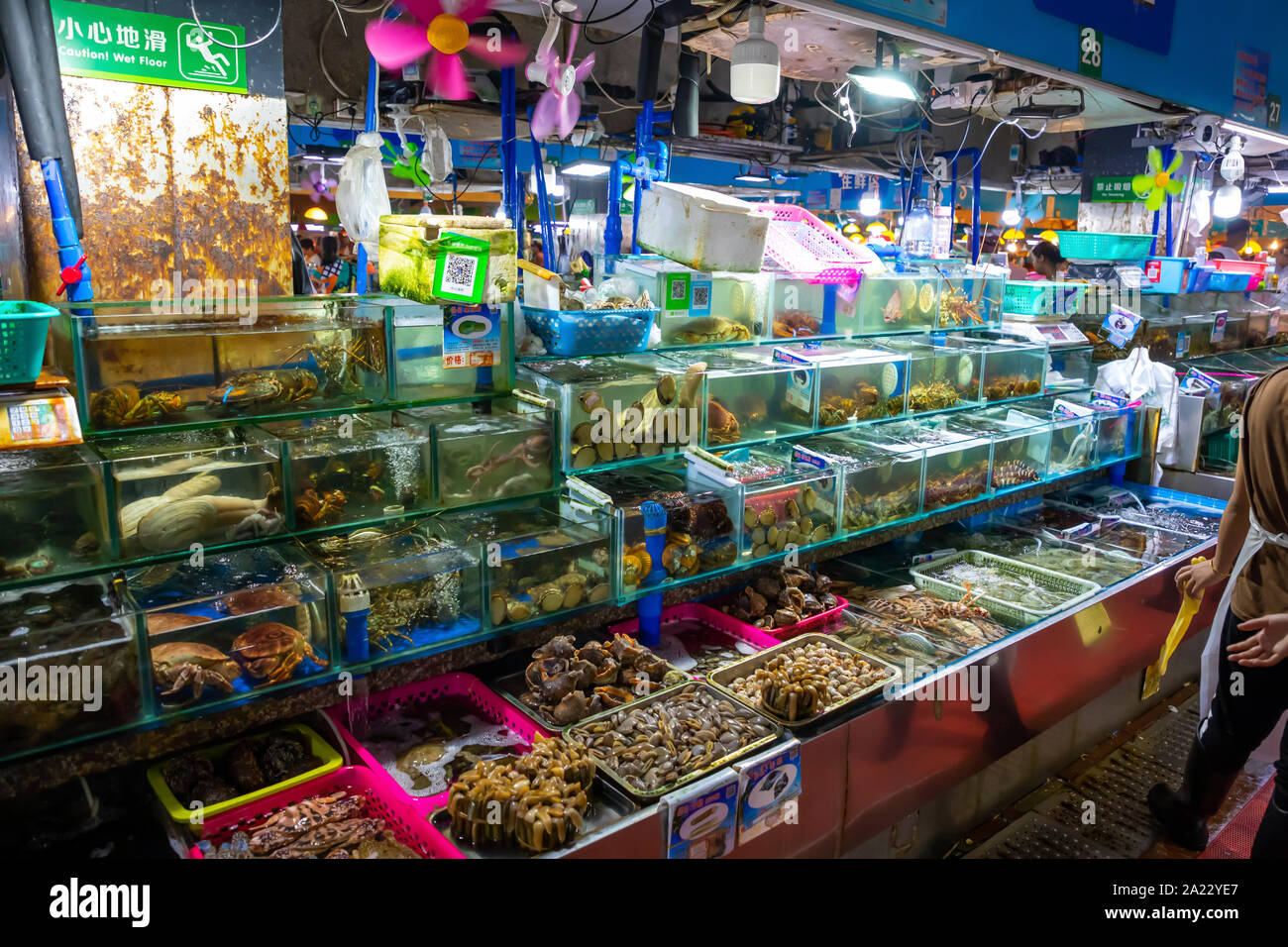 Sanya, Hainan, China 09.07.2019 Different kinds of raw fresh seafood