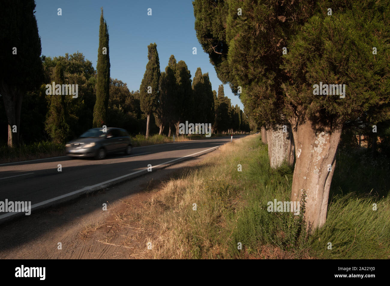 The famous tree-lined avenue with cypresses  two kilometers long that connects the Aurelia state road from the village of San Guido to the Bolgheri vi Stock Photo