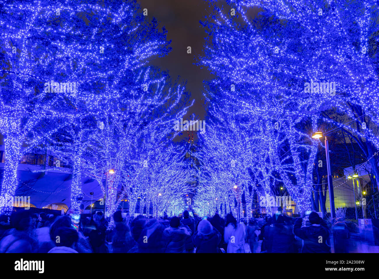 Shibuya Blue Cave Winter Illumination Festival Beautiful View Popular Tourist Attractions Travel Destinations For Holiday Famous Romantic Light Up Stock Photo Alamy Shibuya Blue Cave Winter Illumination Festival Beautiful View Popular Tourist Attractions Travel Destinations For Holiday Famous Romantic Light Up Stock Photo Alamy