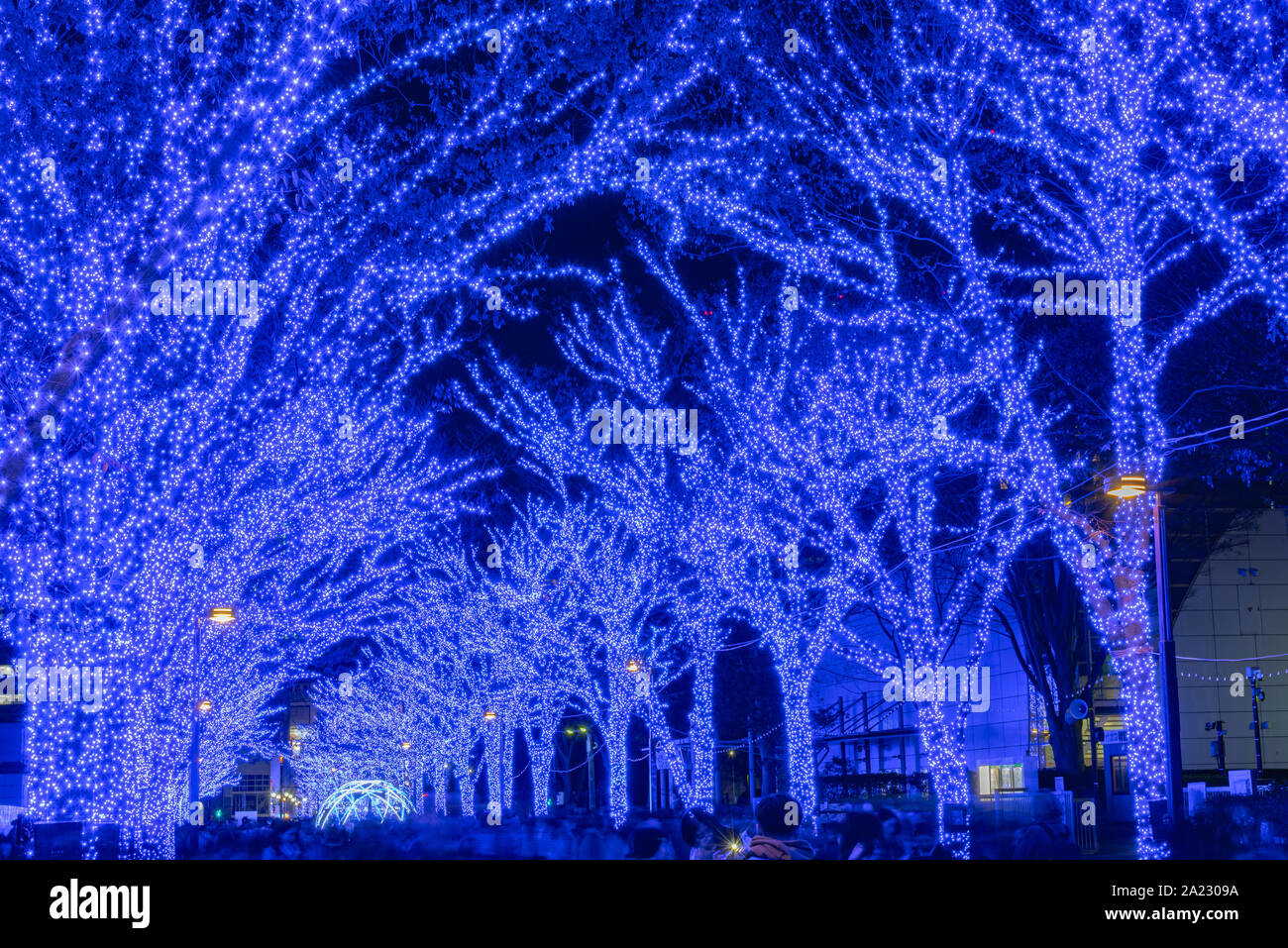 Shibuya Blue Cave winter illumination festival, beautiful view, popular  tourist attractions, travel destinations for holiday, famous romantic light  up Stock Photo - Alamy