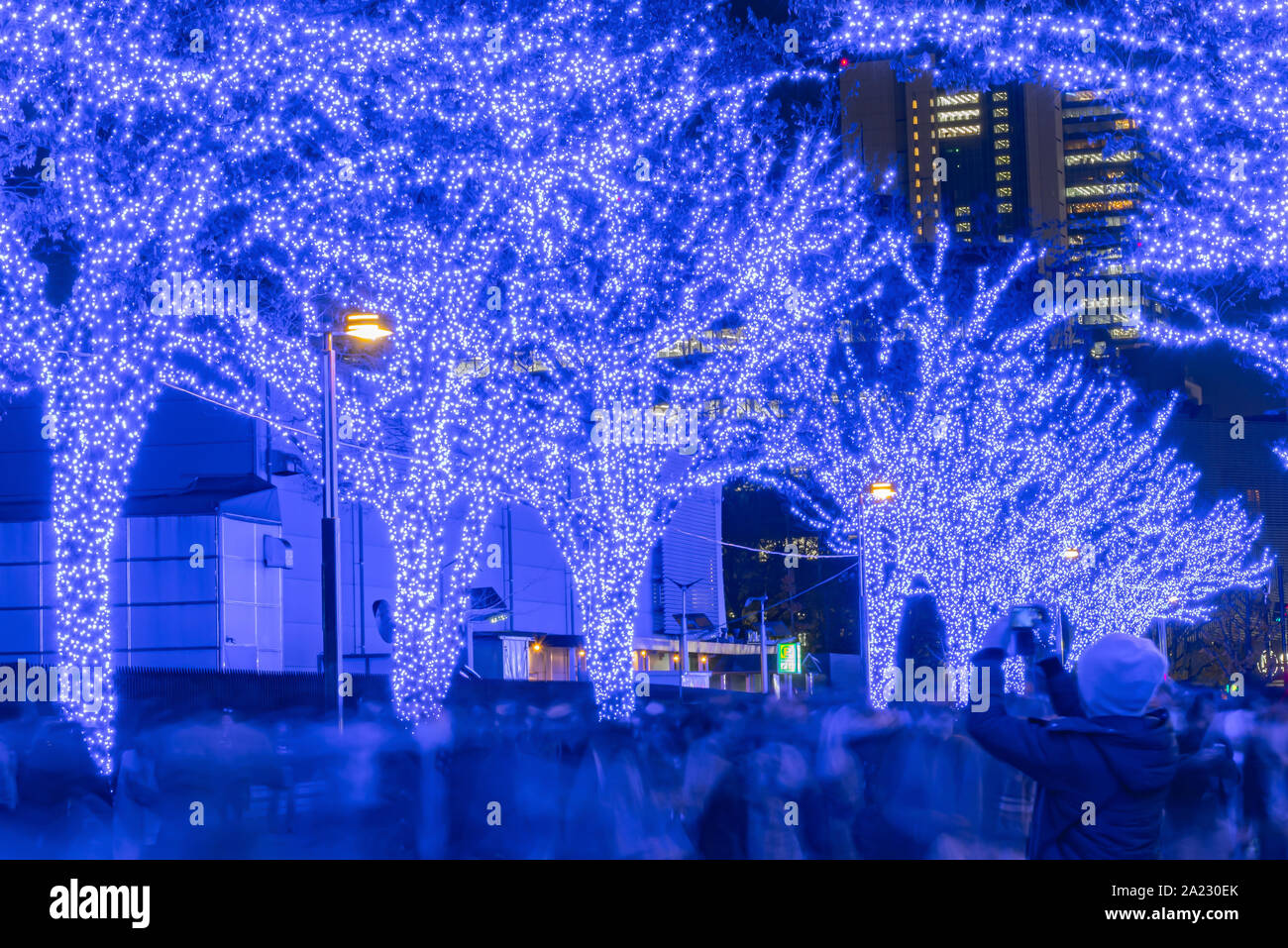 Shibuya Blue Cave Winter Illumination Festival Beautiful View Popular Tourist Attractions Travel Destinations For Holiday Famous Romantic Light Up Stock Photo Alamy