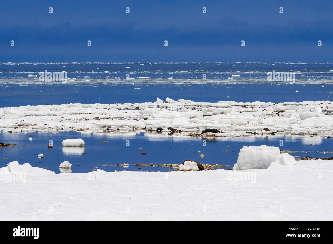 Hudson Bay coastline at freeze-up, Churchill Wildlife Management Area, Churchill, Manitoba, Canada Stock Photo