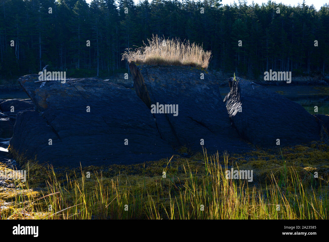 Barnes Island, Harpswell Neck, Maine.  Rocks and ocean. Stock Photo