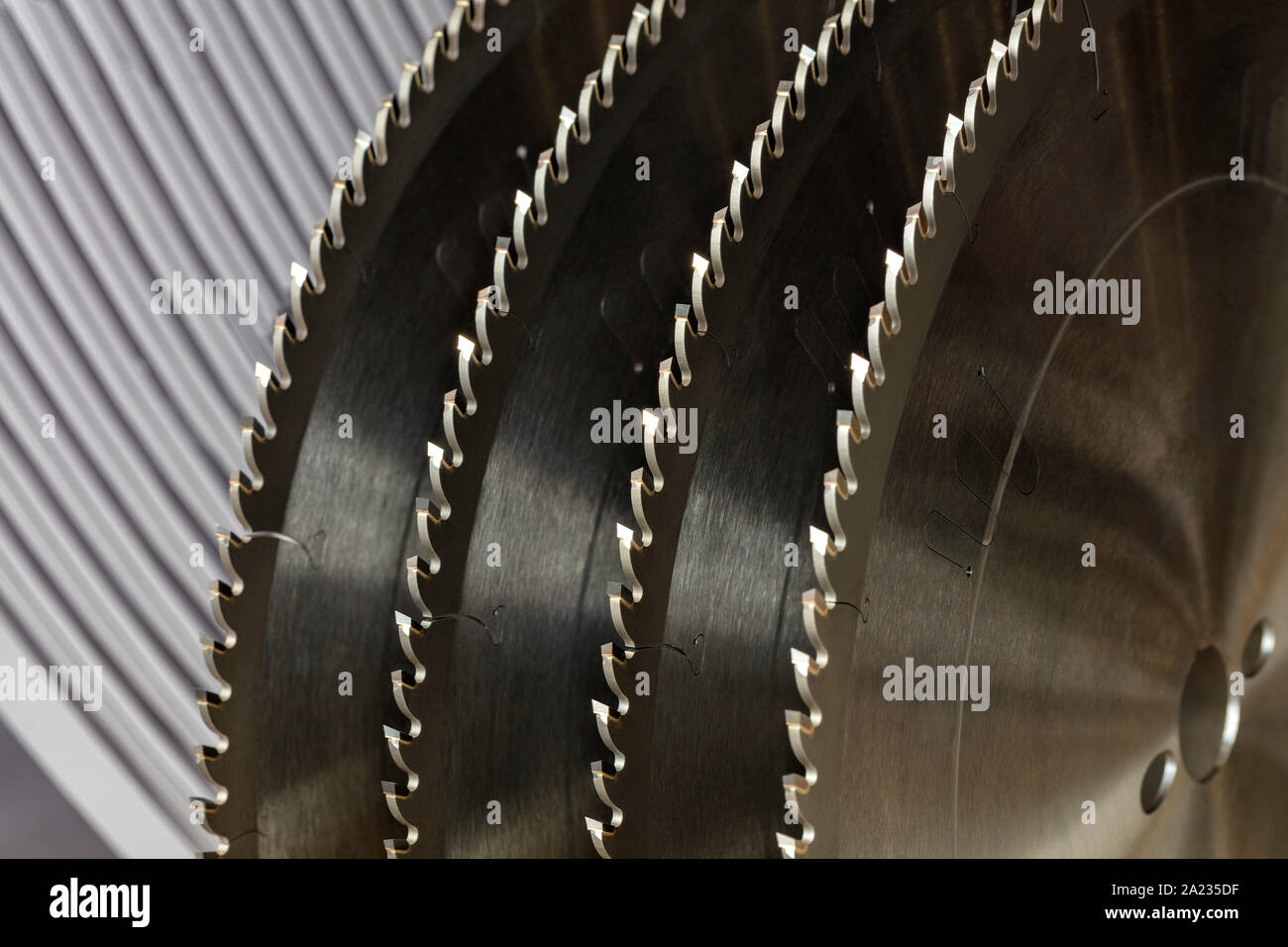 Tool for woodworking, a segment of circular saws with carbide brazing