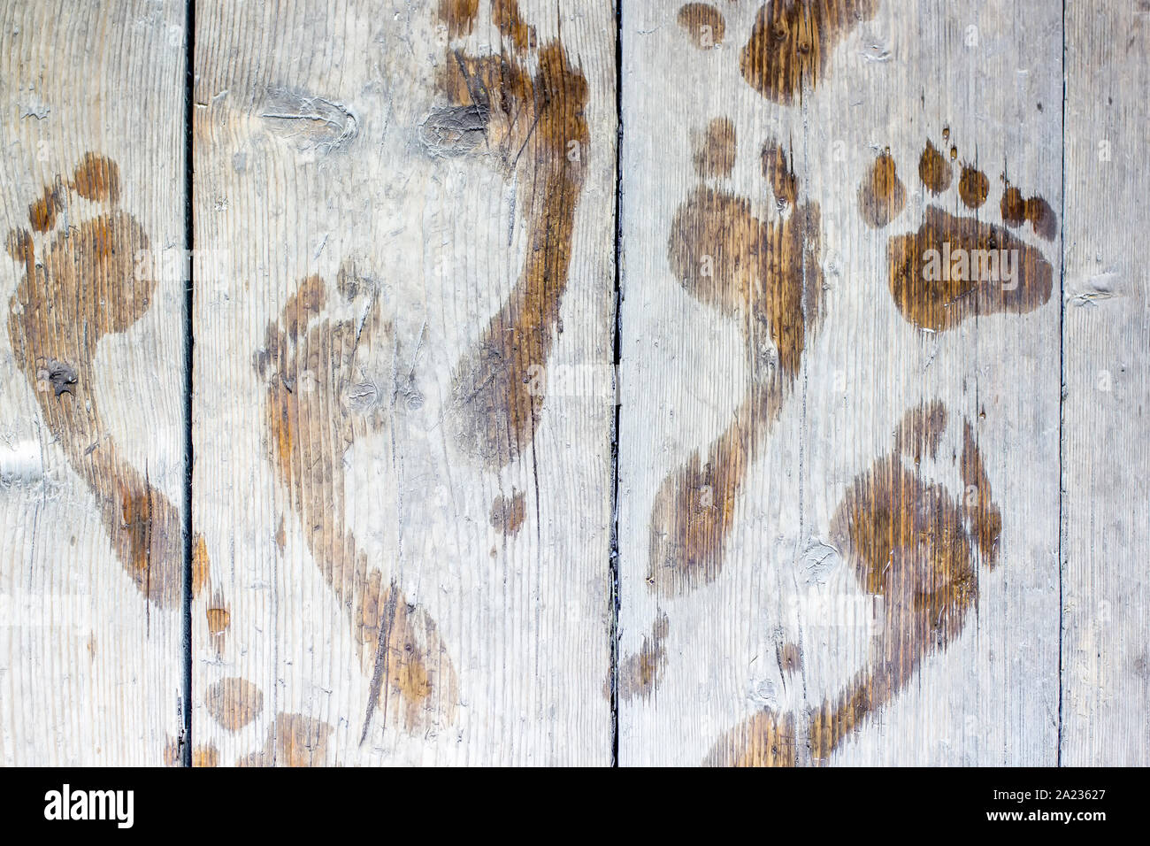 lots wet footprints on the of man an old wooden planks, outdoor Stock Photo