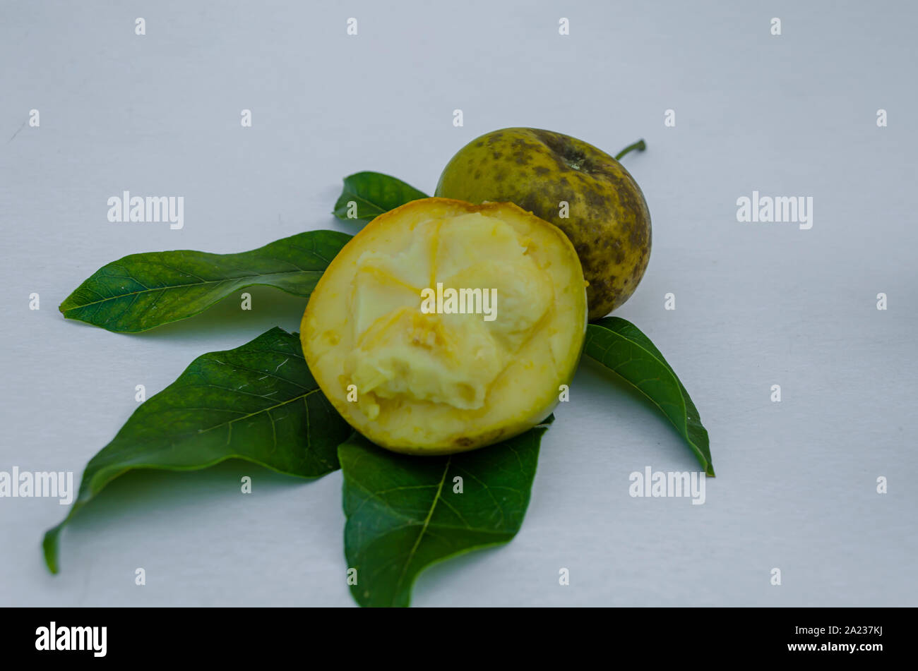 White Sapote Fruits And Leaves Stock Photo