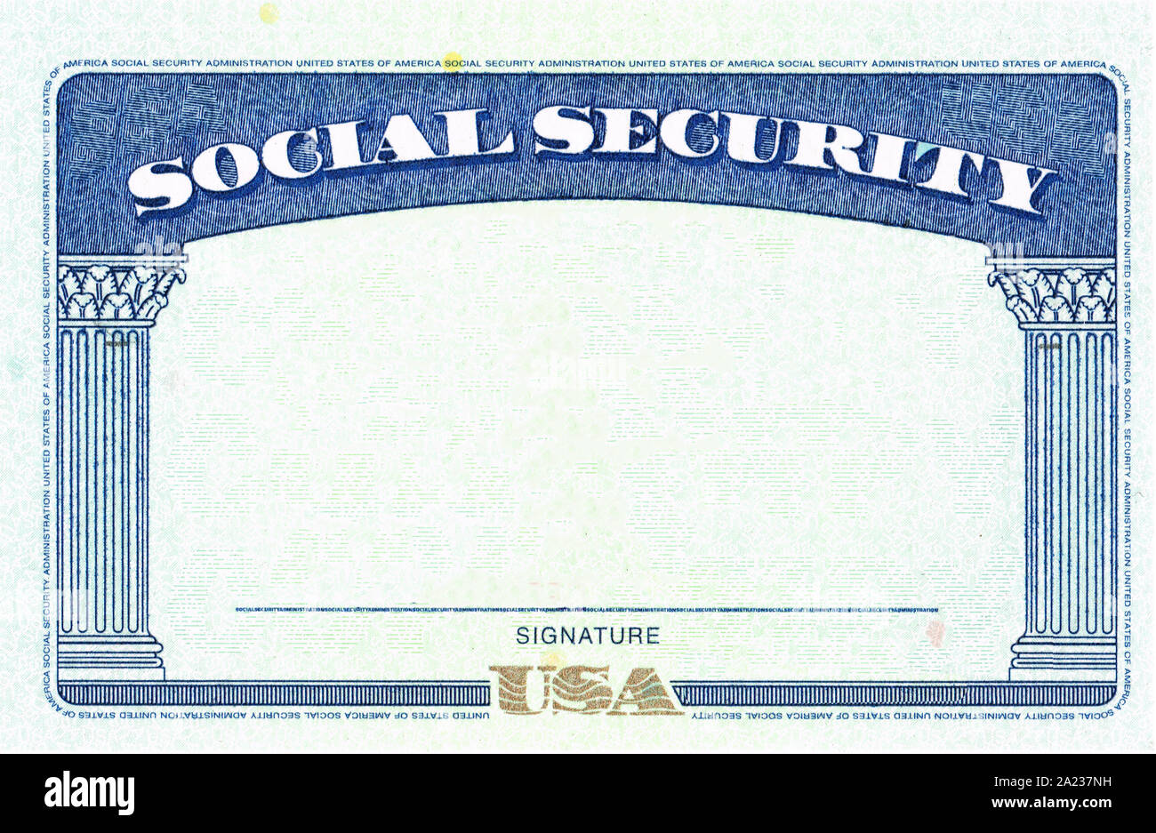 Blank American Social Security Card. Stock Photo