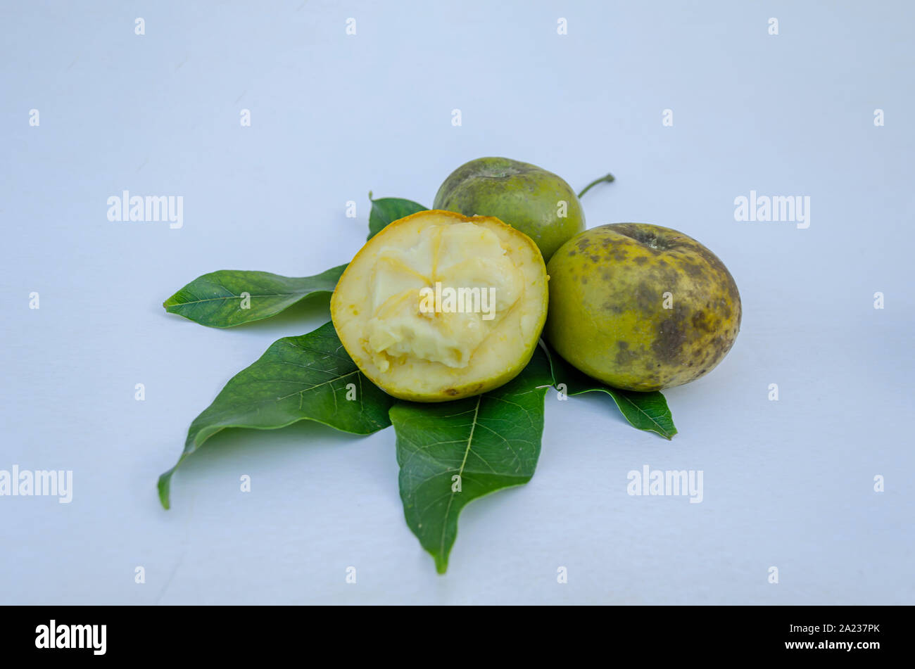 Mexican Apple Leaves And Fruits Stock Photo