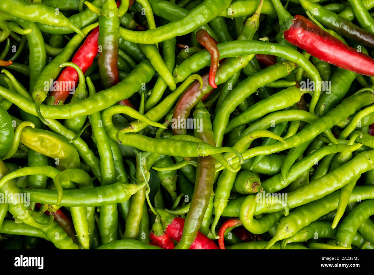 Chilli pepper from Ibarra or Piparras, for sale in the organic products market in León. Spain Stock Photo