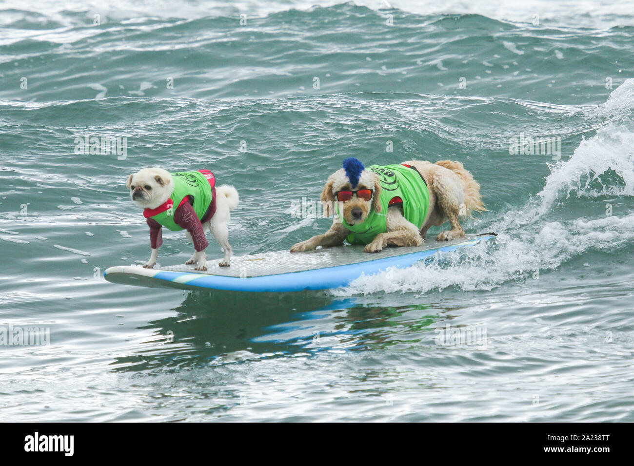 Santa Monica Pier 360 TANDM Surf Bodyboard Contest