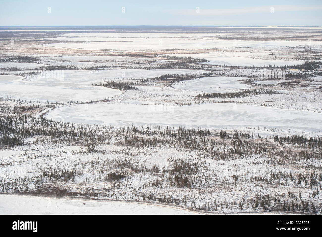 Hudson Bay lowlands at freezeup from the air. Boreal trees and ponds