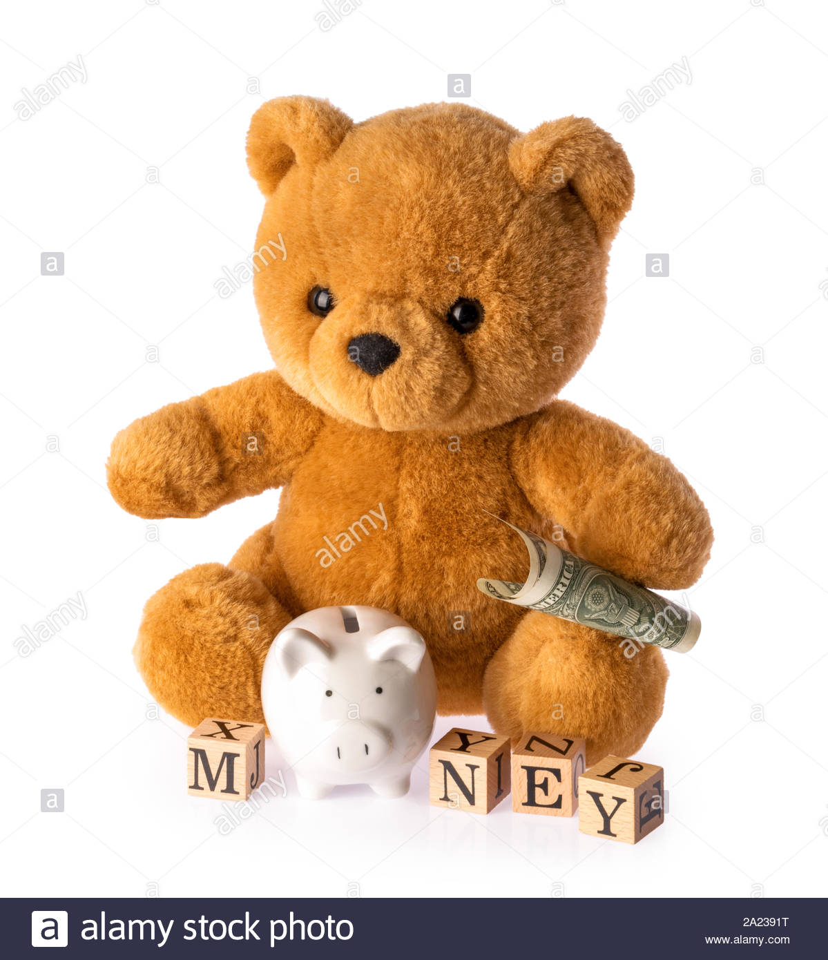 money teddy bear