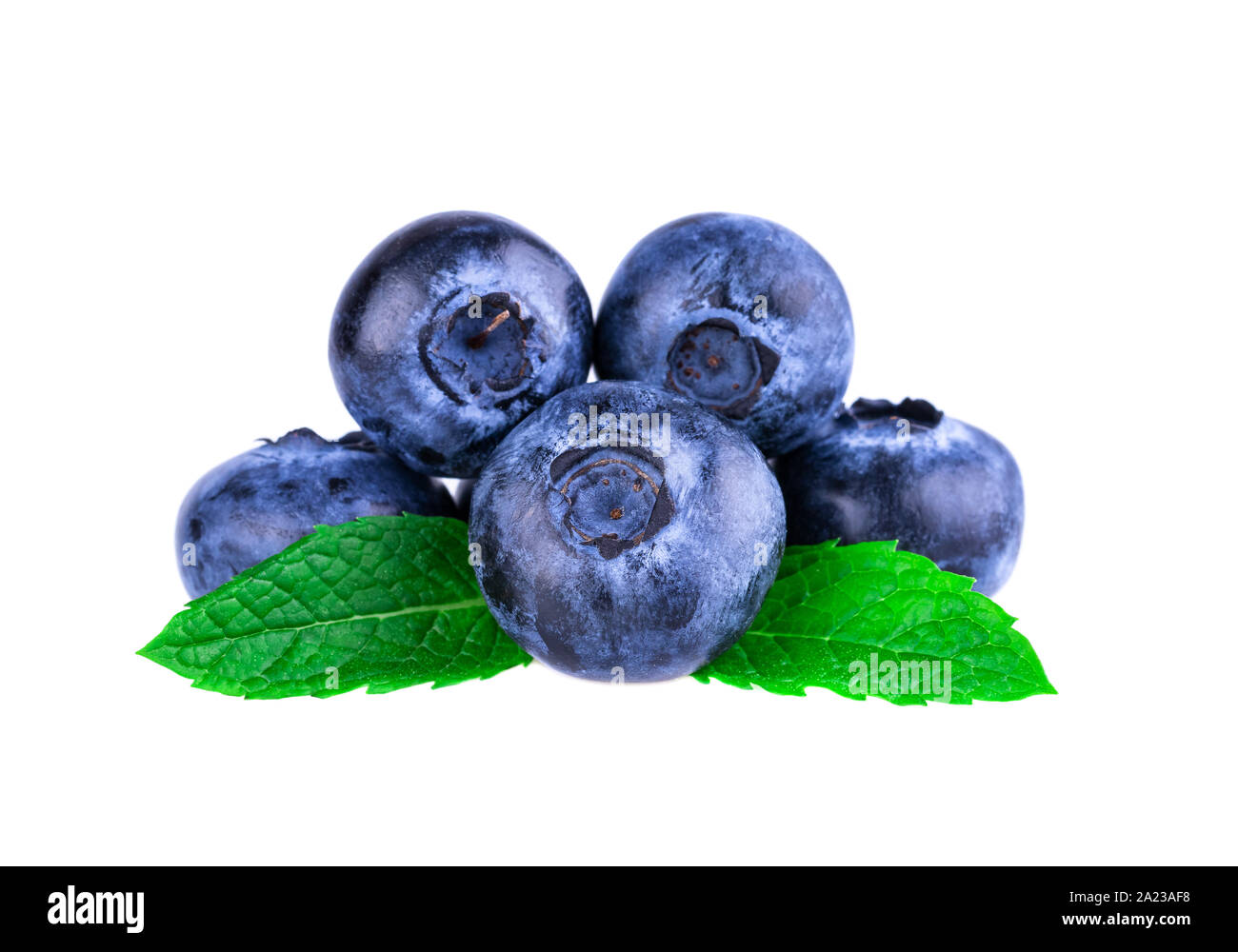 Blueberries in close up. Stack of blueberries with mint leaf isolated on white. Stock Photo