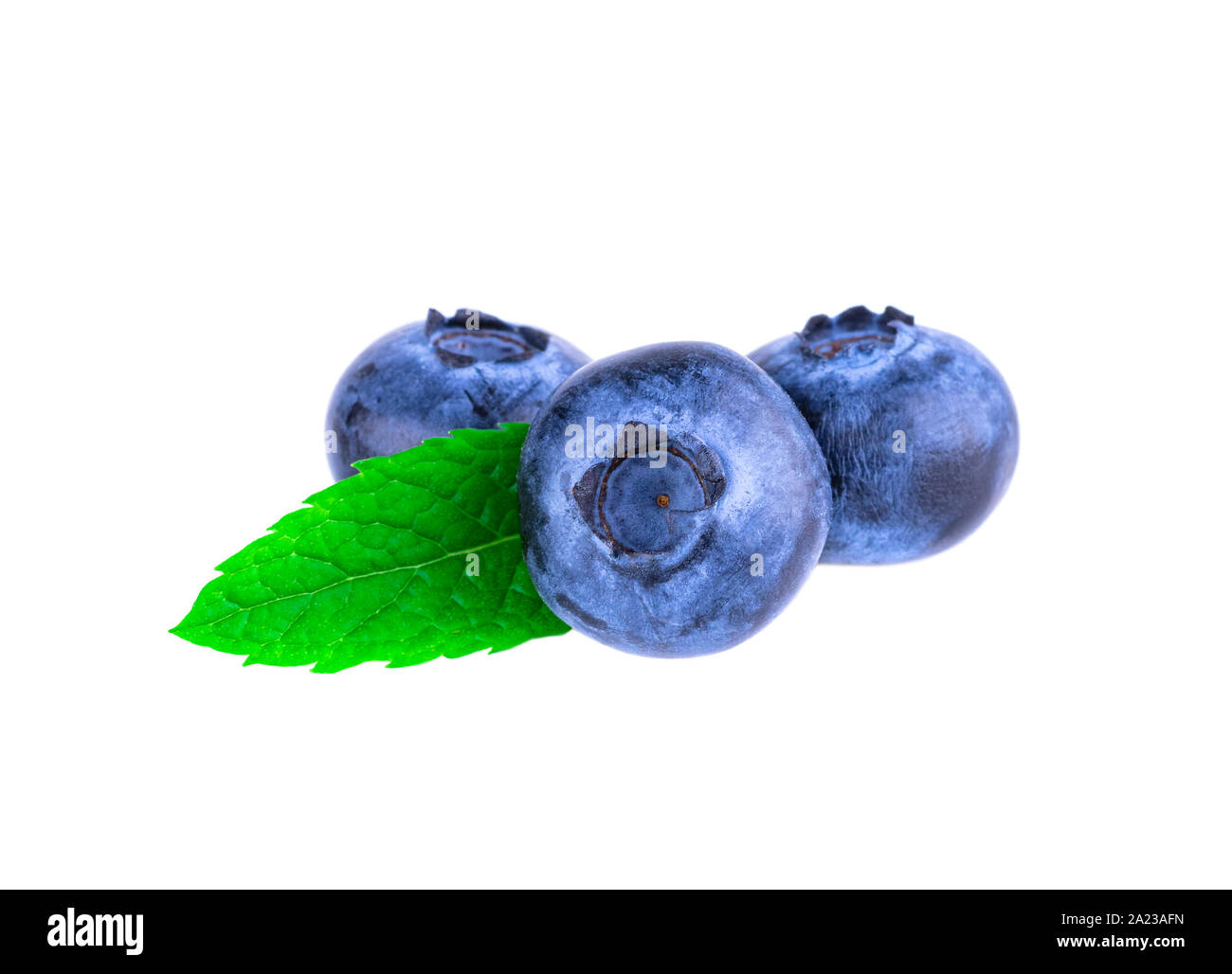Blueberries three fresh blueberry isolated on white background Stock Photo
