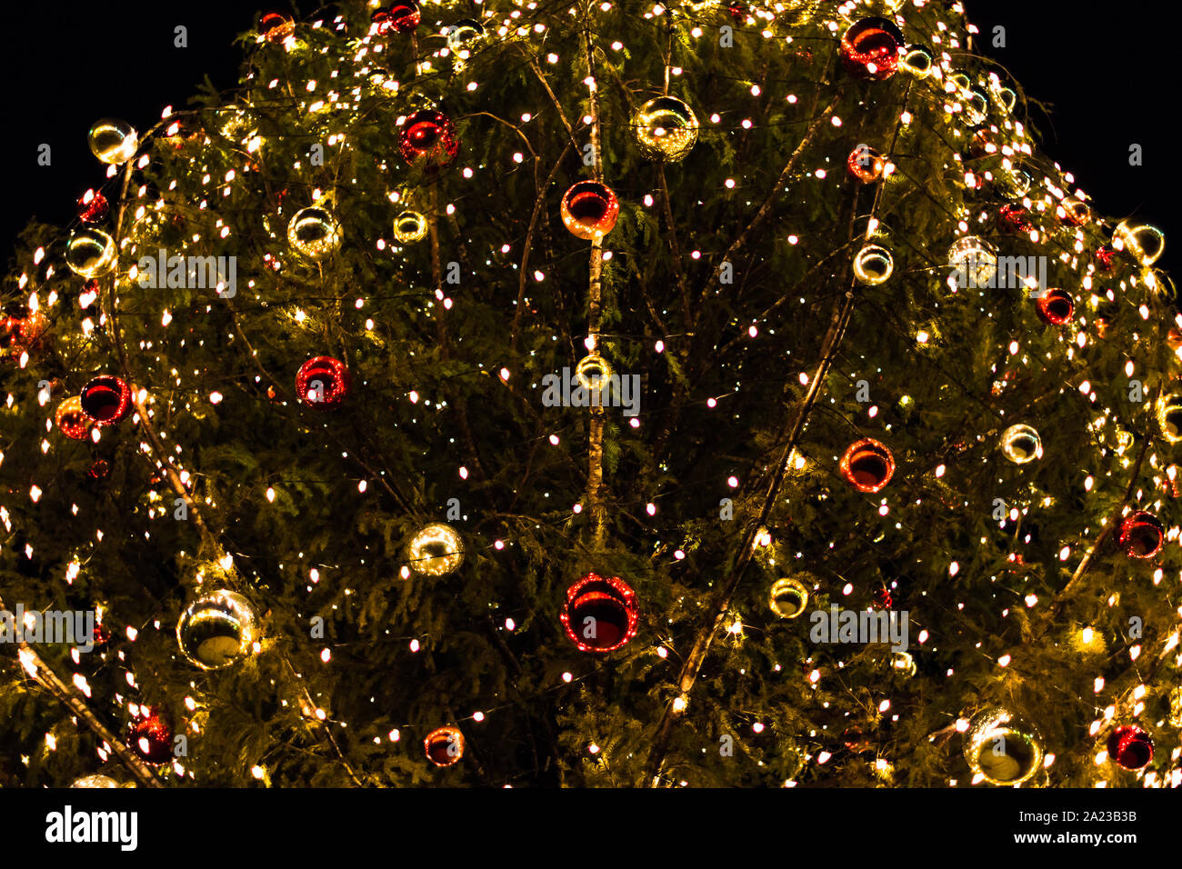 Christmas Tree at Night Stock Photo Alamy