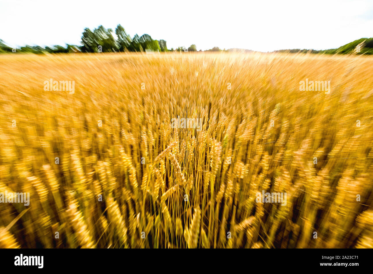 Volodymyr zelensky speech in vilnius lukiskses squere. Nato summit vilnius 2023.07.12 Stock Photo