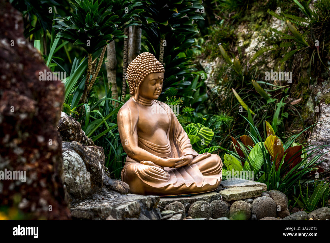 Golden buddha statue in a stone garden with green plants in the background Stock Photo