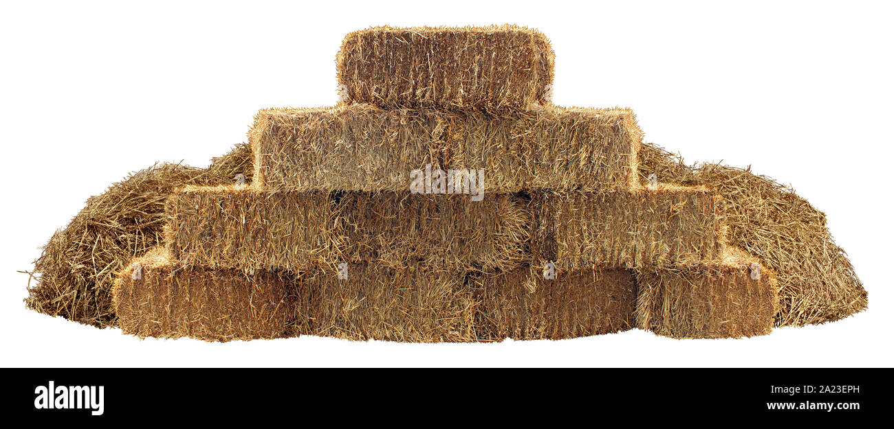 Hay stack element as a pile bundled and tied haystack group isolated on a white background as an agriculture farm and farming symbol of harvest. Stock Photo