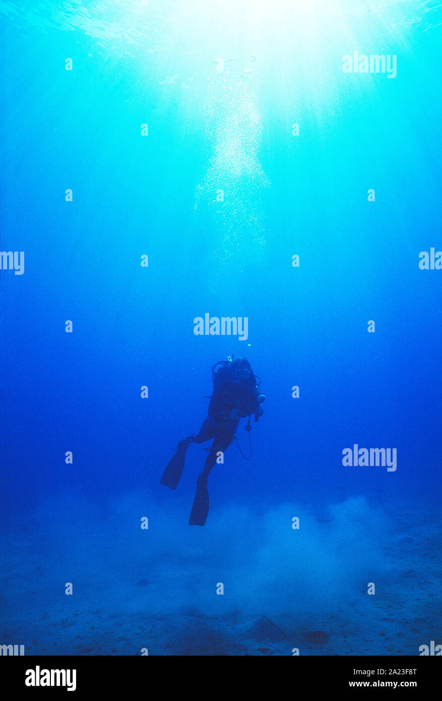 Egypt. Red Sea. Lone scuba diver underwater with camera Stock Photo Alamy