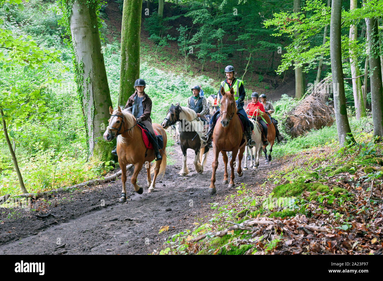 Tour de Luxembourg a Cheval (Cross-Country Equine Event), Medernach, Diekirch District, Luxembourg Stock Photo