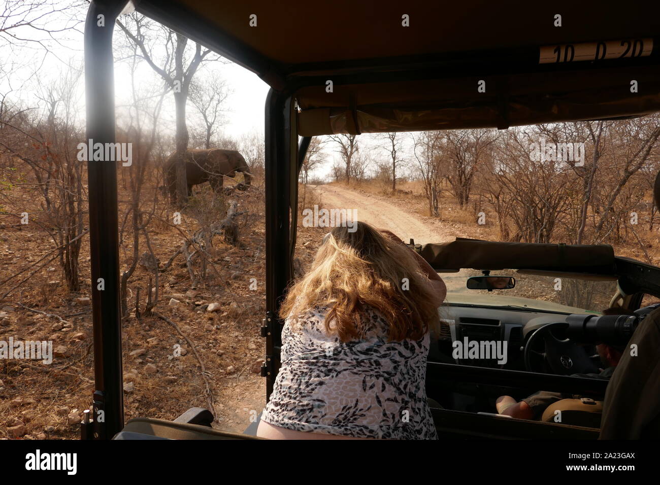 Safari lens hi-res stock photography and images - Alamy
