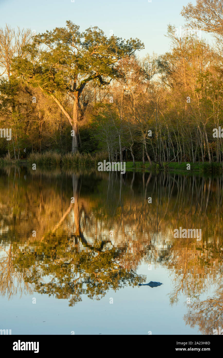 Reflections in Lake Lafleur in early spring, Palmetto Island State Park