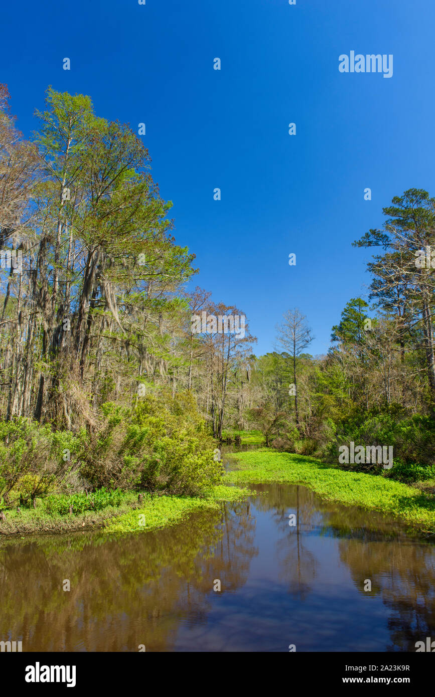 Louisiana bayou people hires stock photography and images Alamy