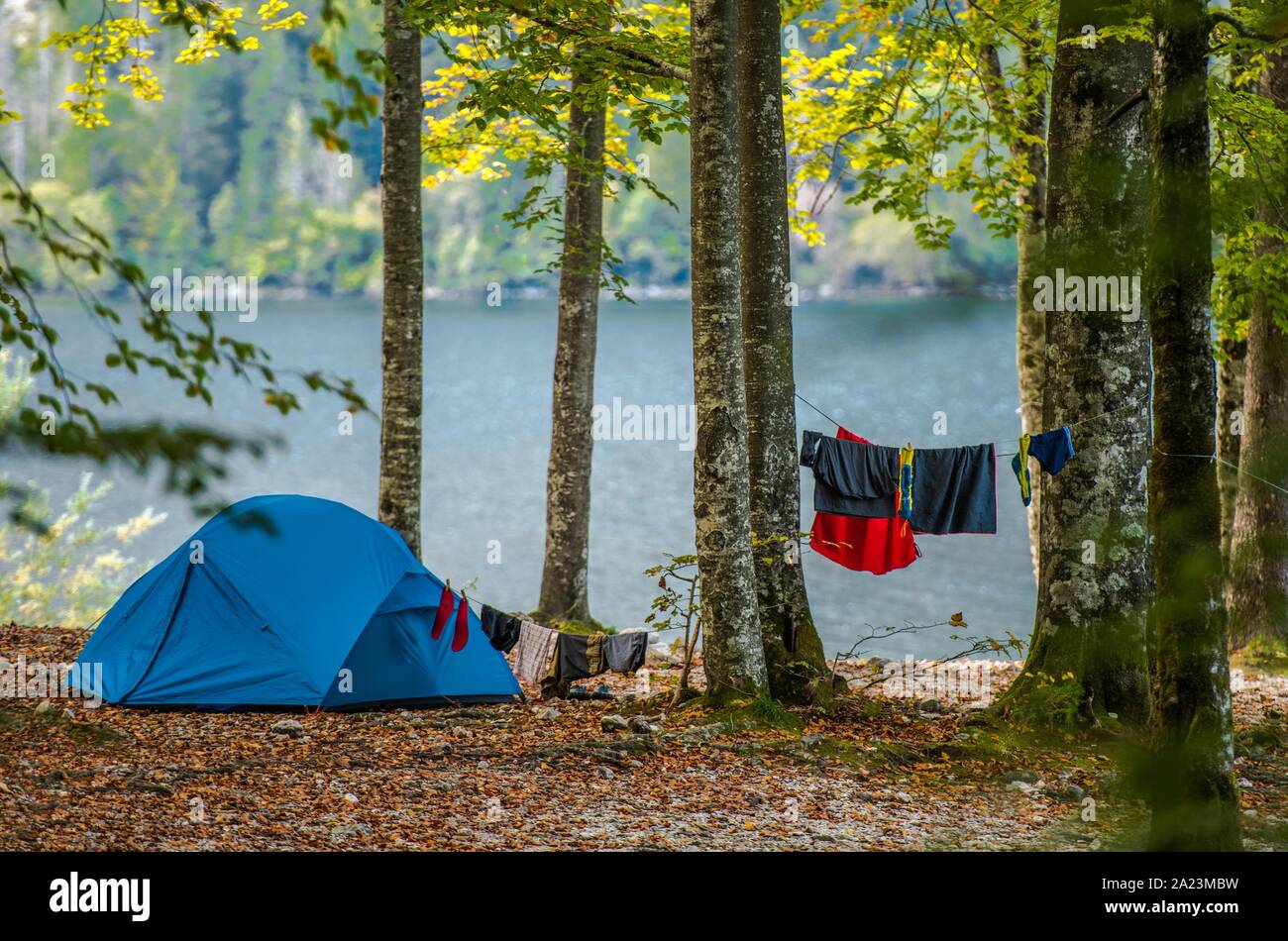 Wilderness Tent Camping. Blue Modern Tent and Drying Clothes on a Rope Between Forest Trees. Outdoor Campsite at the Lake. Stock Photo